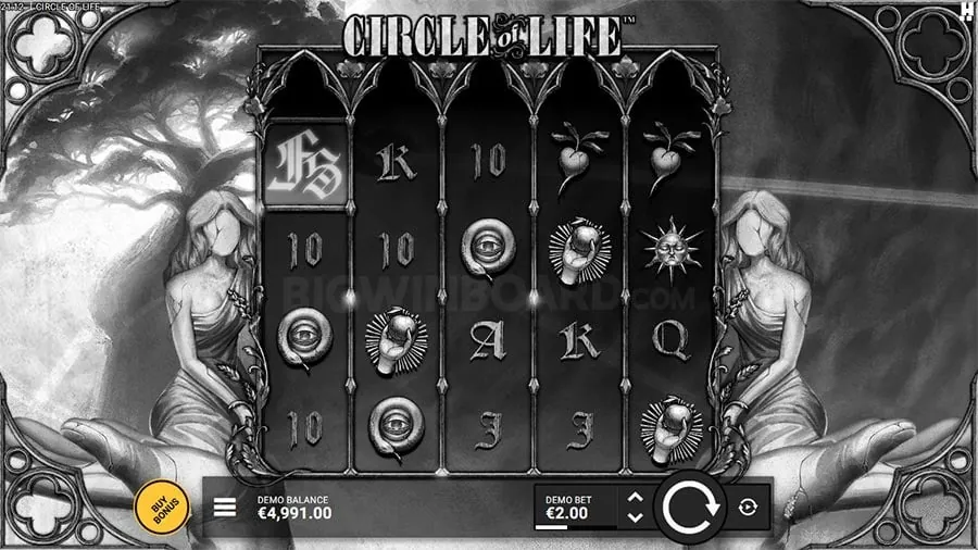 Live Tournament